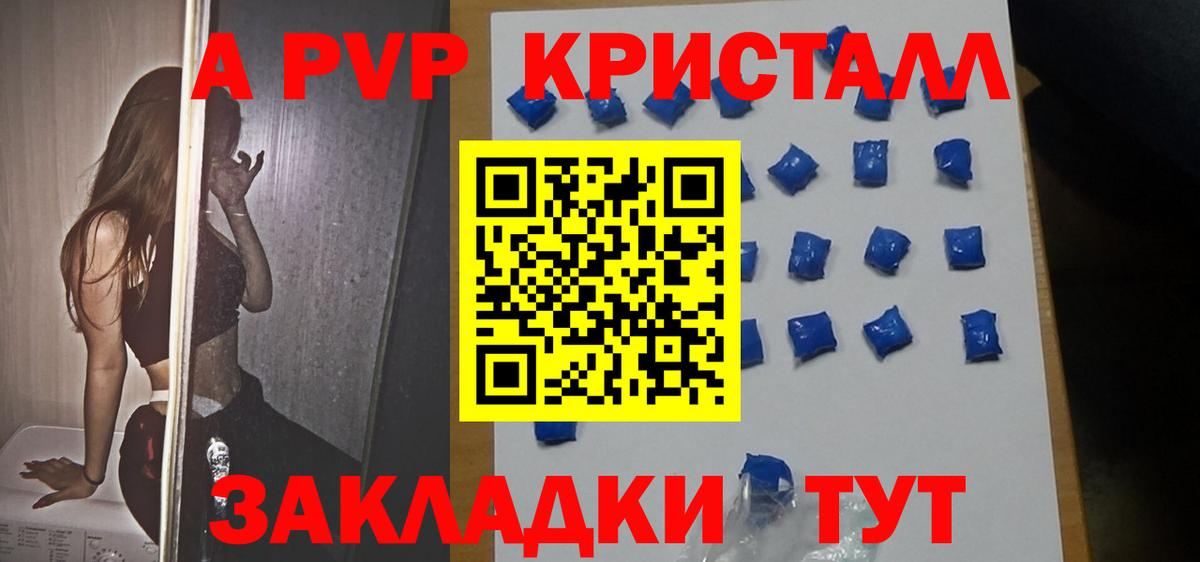 APVP СК Вологда