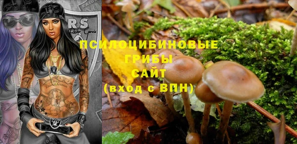 молекула духа Алексеевка