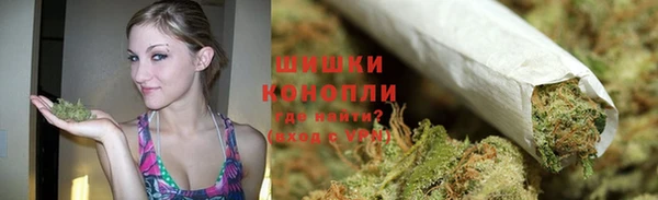 ПСИЛОЦИБИНОВЫЕ ГРИБЫ Алзамай