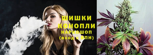 ПСИЛОЦИБИНОВЫЕ ГРИБЫ Алзамай