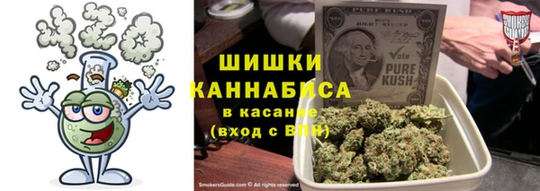 ПСИЛОЦИБИНОВЫЕ ГРИБЫ Алзамай