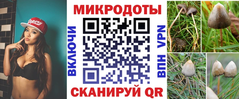 нарко площадка формула  Вологда  Псилоцибиновые грибы мицелий 