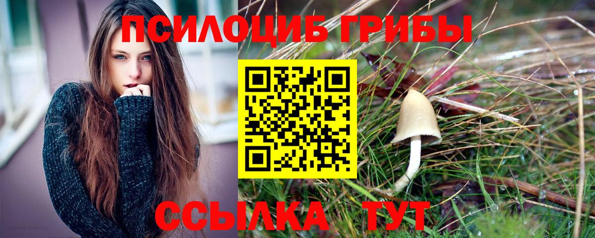 Псилоцибиновые грибы Magic Shrooms Вологда